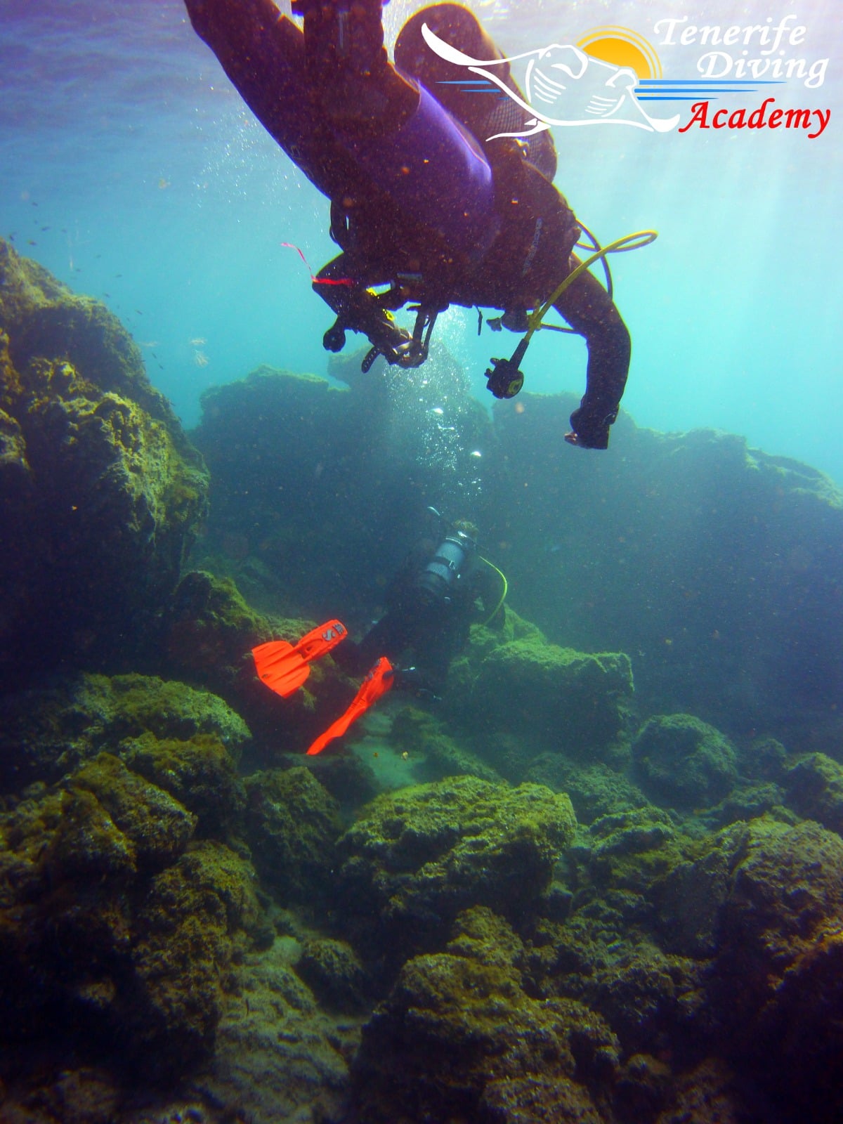 PADI Digital Underwater Photography Specialty by Jason and Cameron