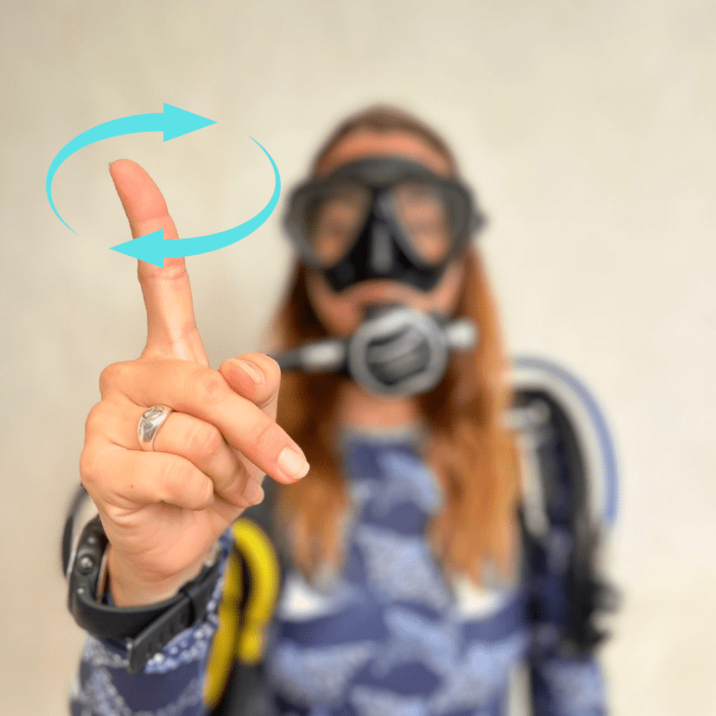 19 Most Common Scuba Hand Signals You Need To Know Divepoint Mexico