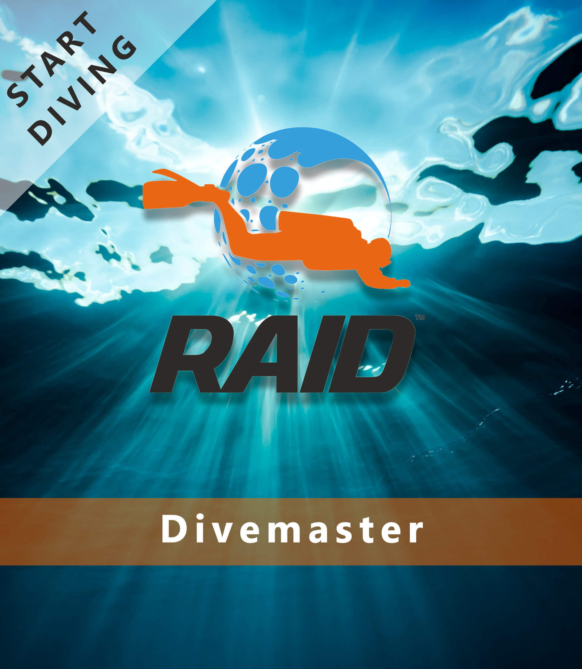 Divemaster Dive RAID International