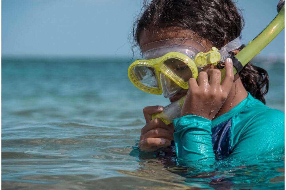 How to Clean a New Scuba Mask Diver Below