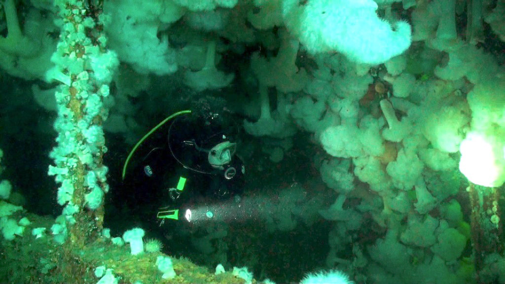 Pulmonary Embolism and Blood Thinners DIVER magazine