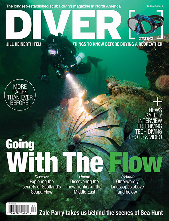 The best diving movies of all time DIVER magazine