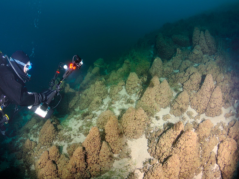 Guide British Columbia's Pavilion Lake Earth's early lifeforms