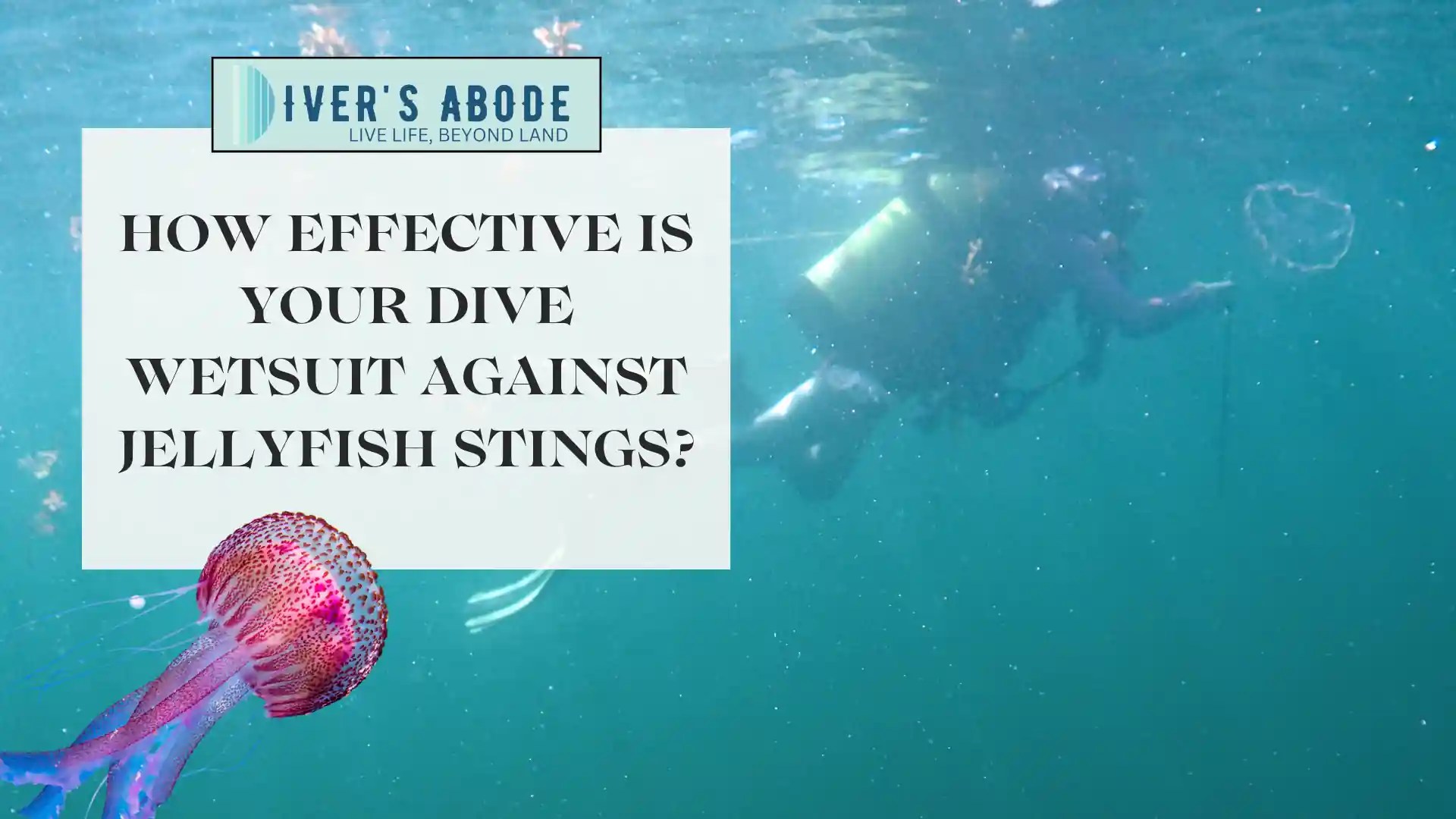 How Effective Is Your Dive Wetsuit Against Jellyfish Stings?