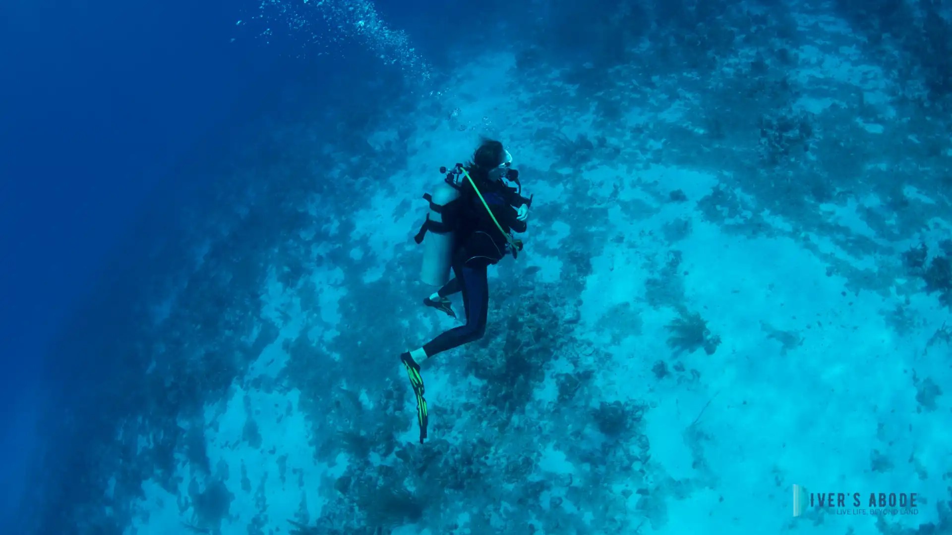 How Much Do Scuba Tanks Weigh? A Comprehensive Deep Dive Into SCUBA(04)