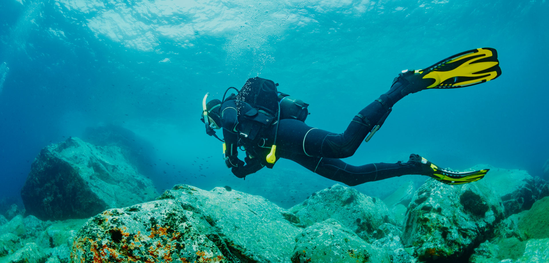 Divers Den Offers daily dive charters. We have a 40 ft dive boat that