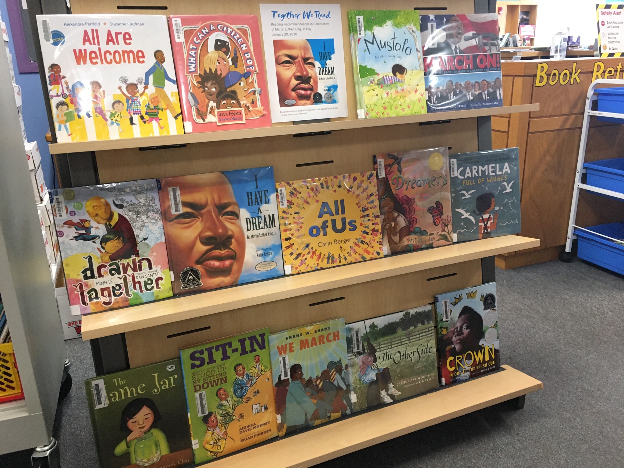 What Does a Diverse Collection Look Like? Diverse BookFinder