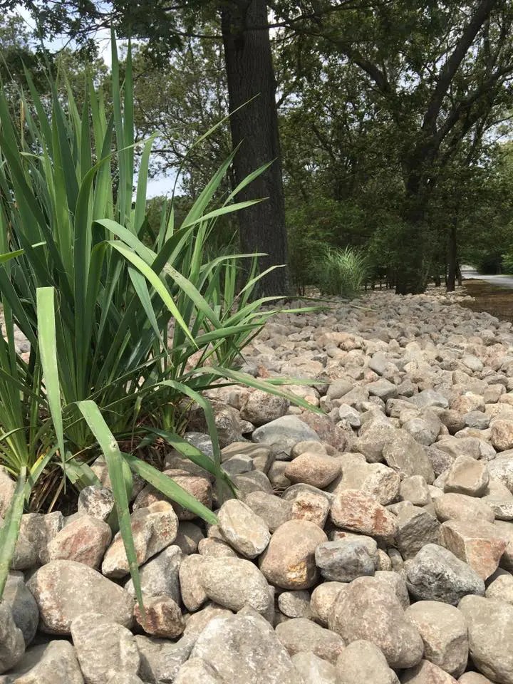 River Stones Why You Will Want Them In Your Landscape Diversified