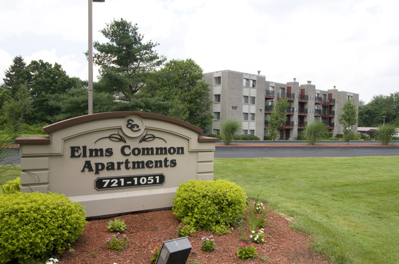 General Contractor Diversity CG