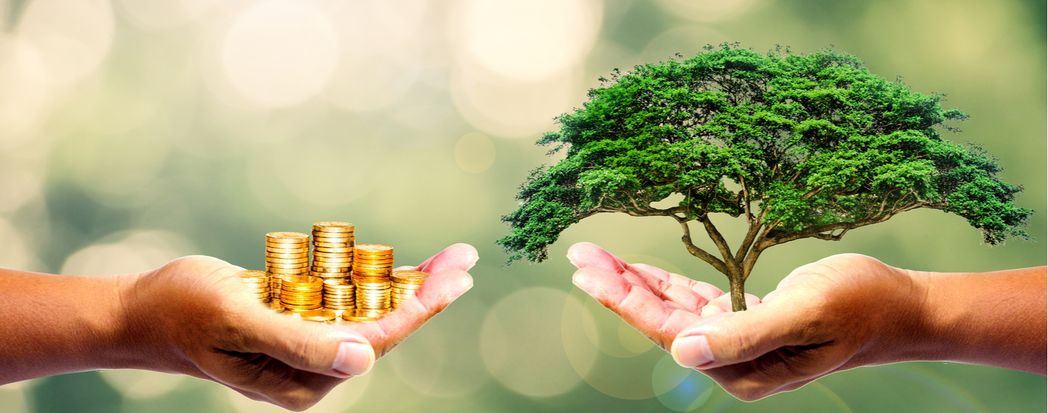 A Wealth Of Knowledge For LongTerm Impact Diversity Professional