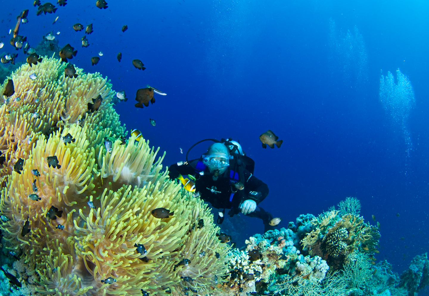 Trips Archive Dive Shack UK