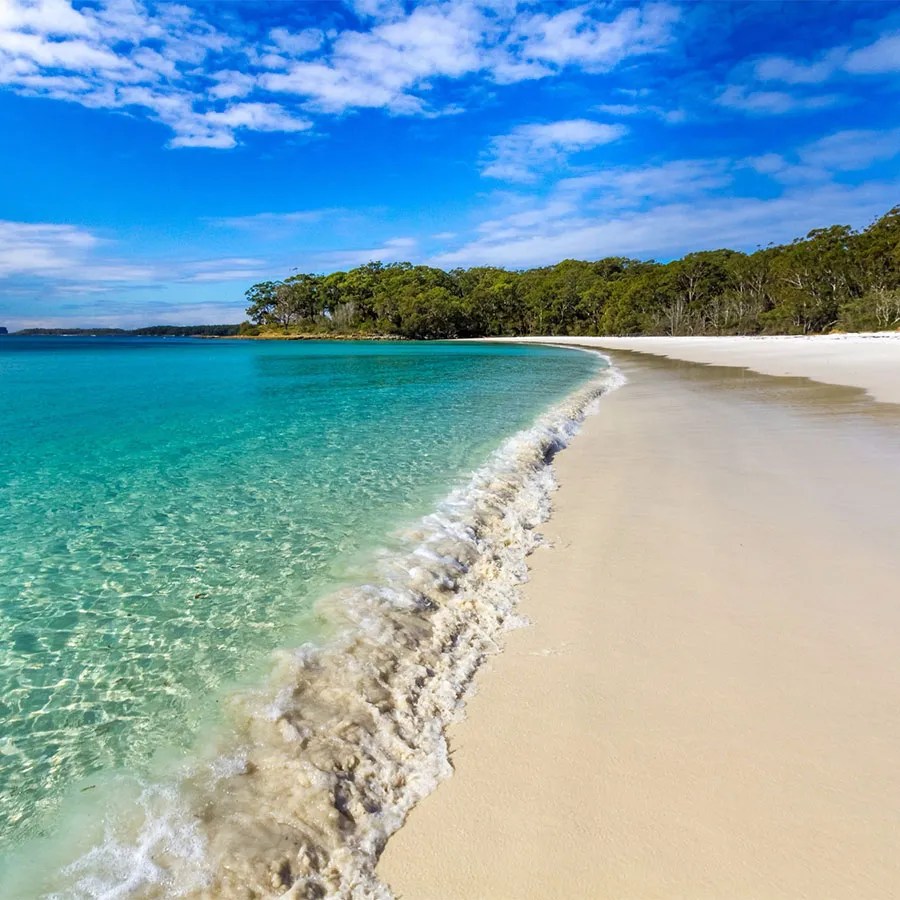 Home Scuba Diving Sydney Dive Centre Manly