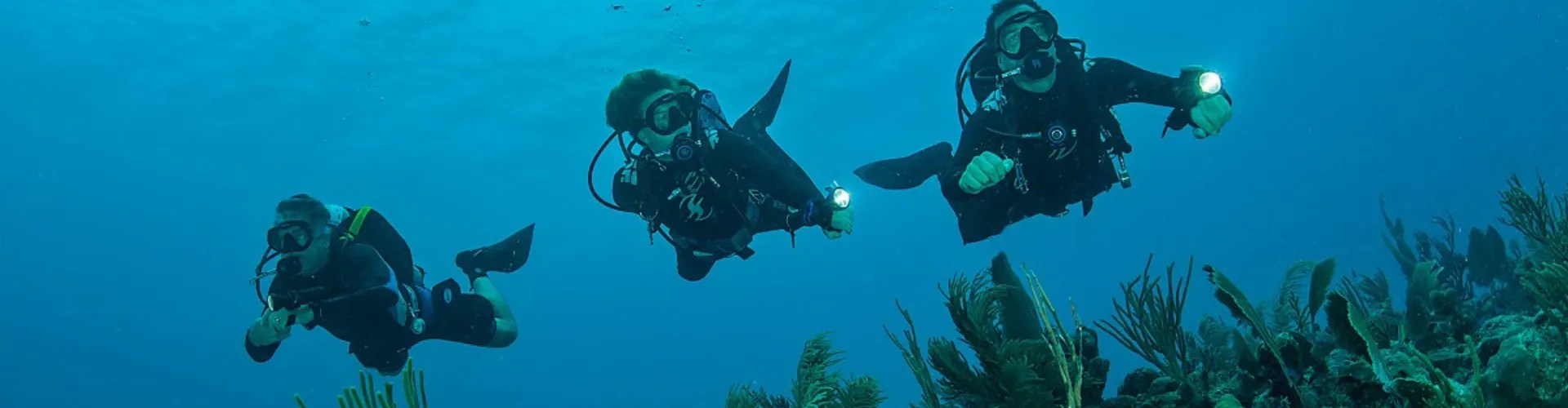 Meet Our Team Scuba Diving Sydney Dive Centre Manly