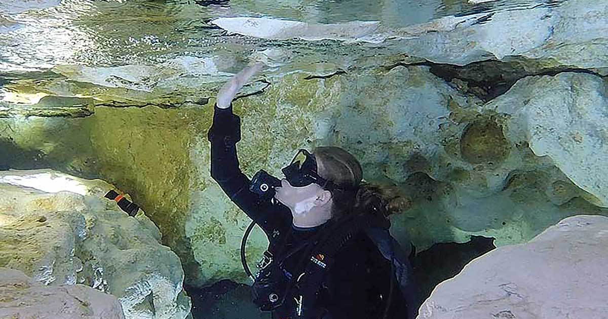 Ginnie Spring Dive the Springs