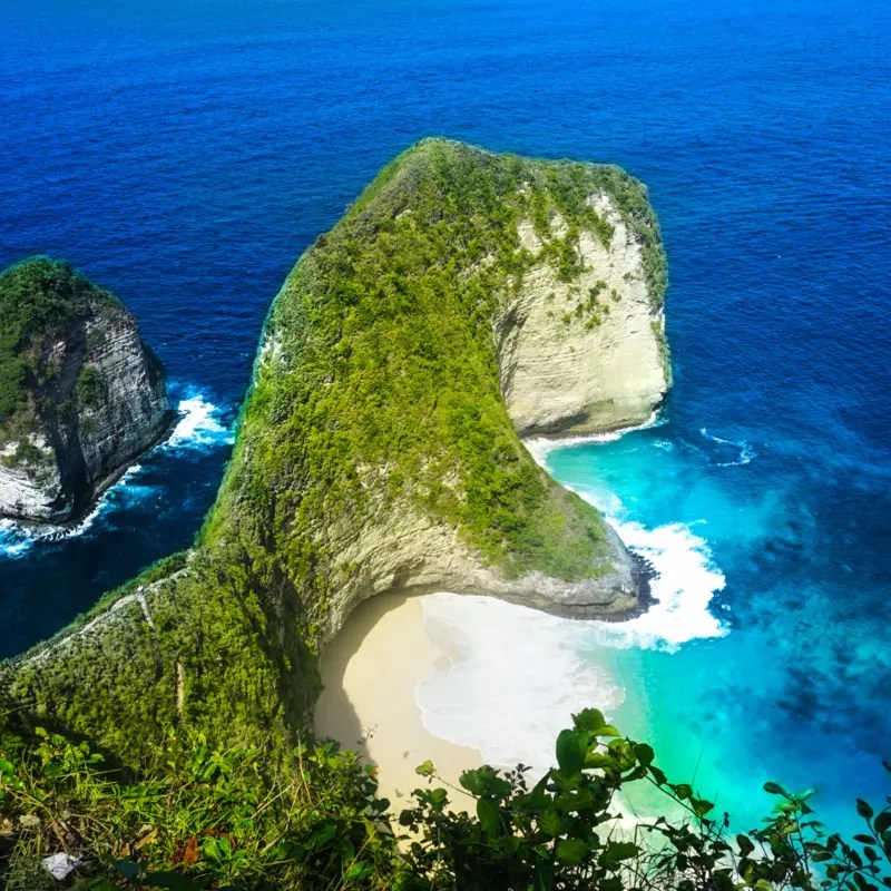 Dive into Paradise Open Trip Diving Nusa Penida