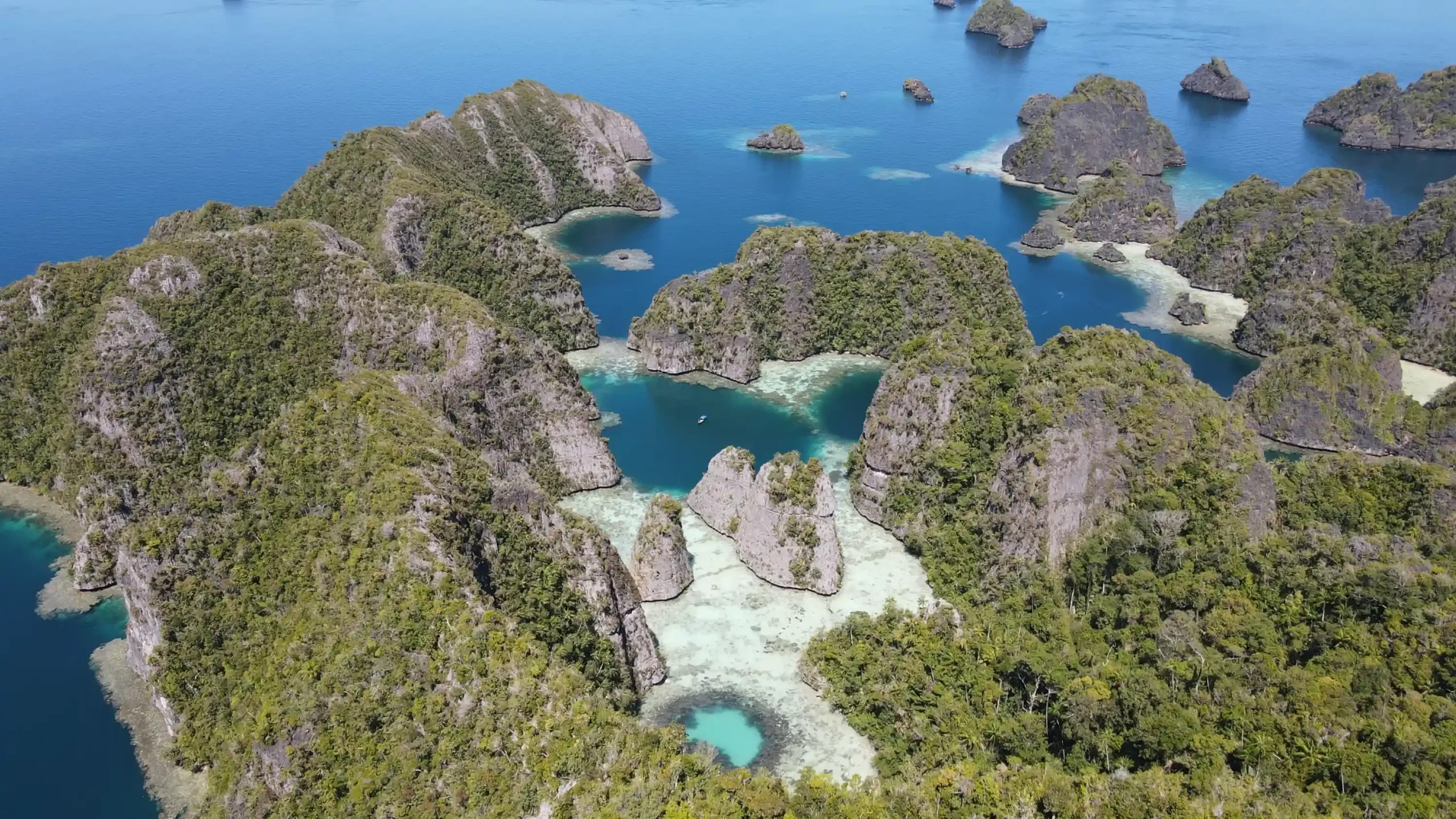 Experience World Class Diving in Raja Ampat