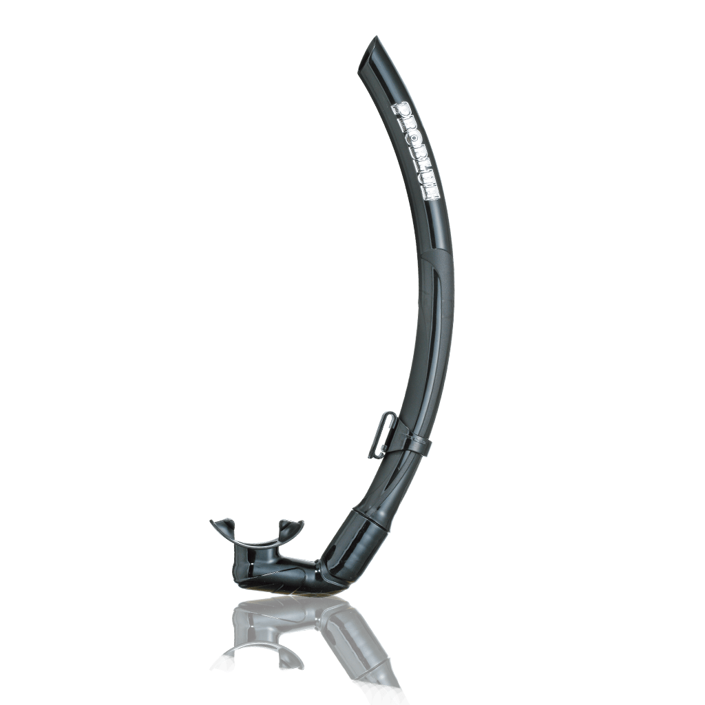 Free Diving Snorkel Dive World