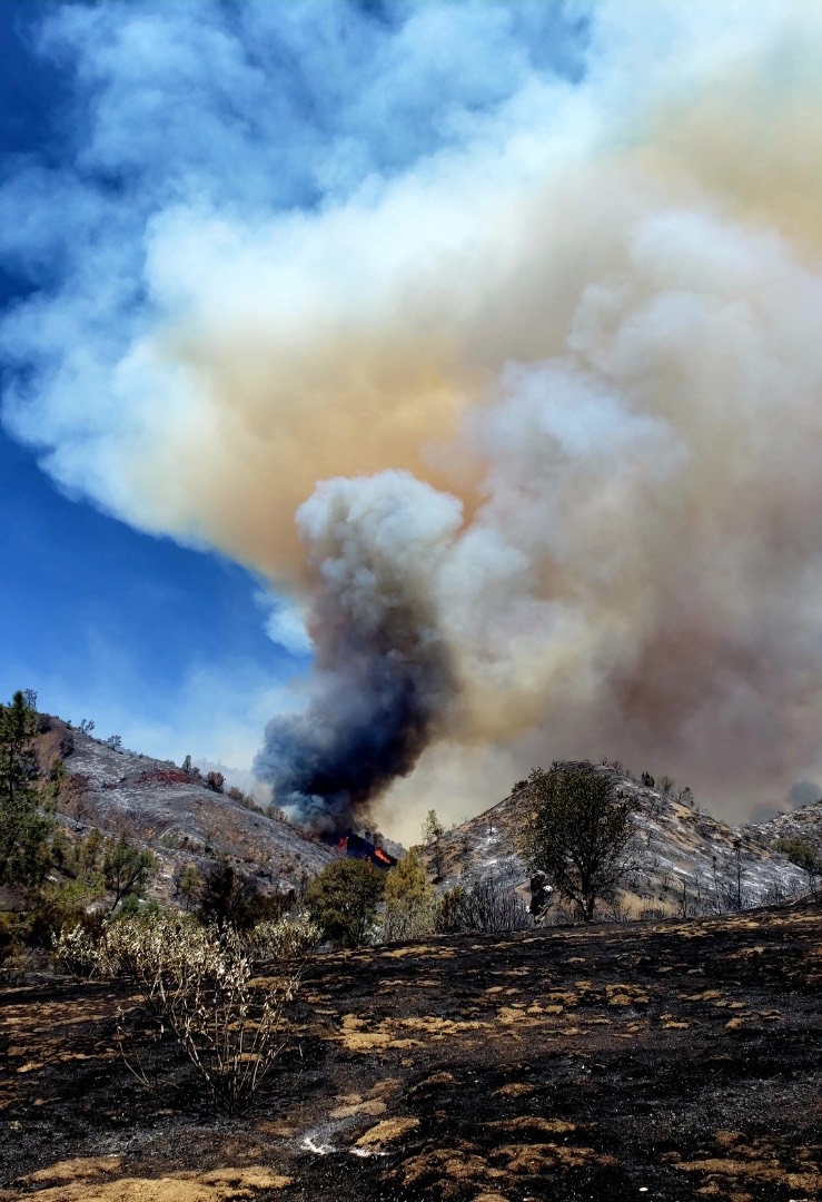 Coyote Fire continues burning near Panoche Valley BenitoLink