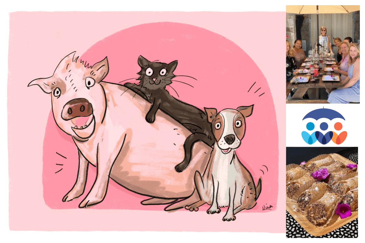 San Benito Community Auction to be held this month BenitoLink