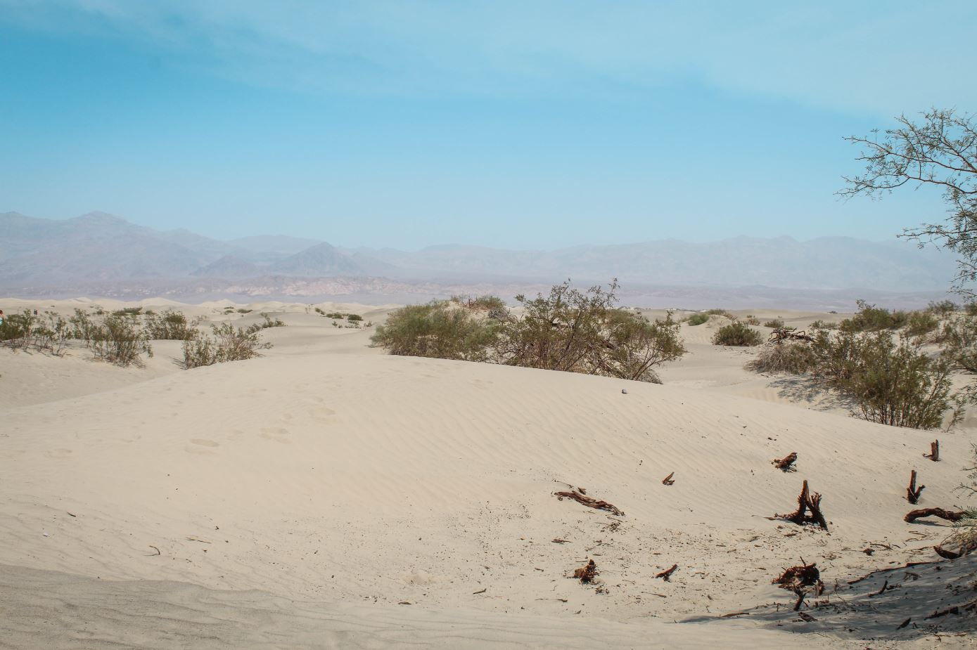 Mesquite Flat Sand Dunes - Death Valley