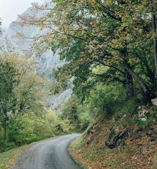 Is Johnson City, TN, a Good Place to Live? (16 Pros and Cons