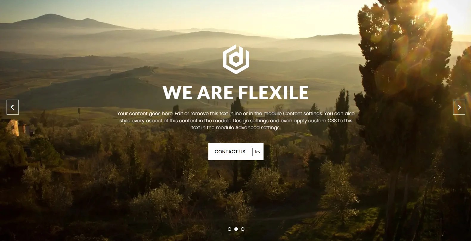 3 Easy Steps to Build an Engaging Divi Hero Slider Divi Extended