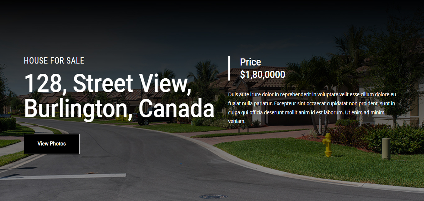 Real Estate Divi Hero Section