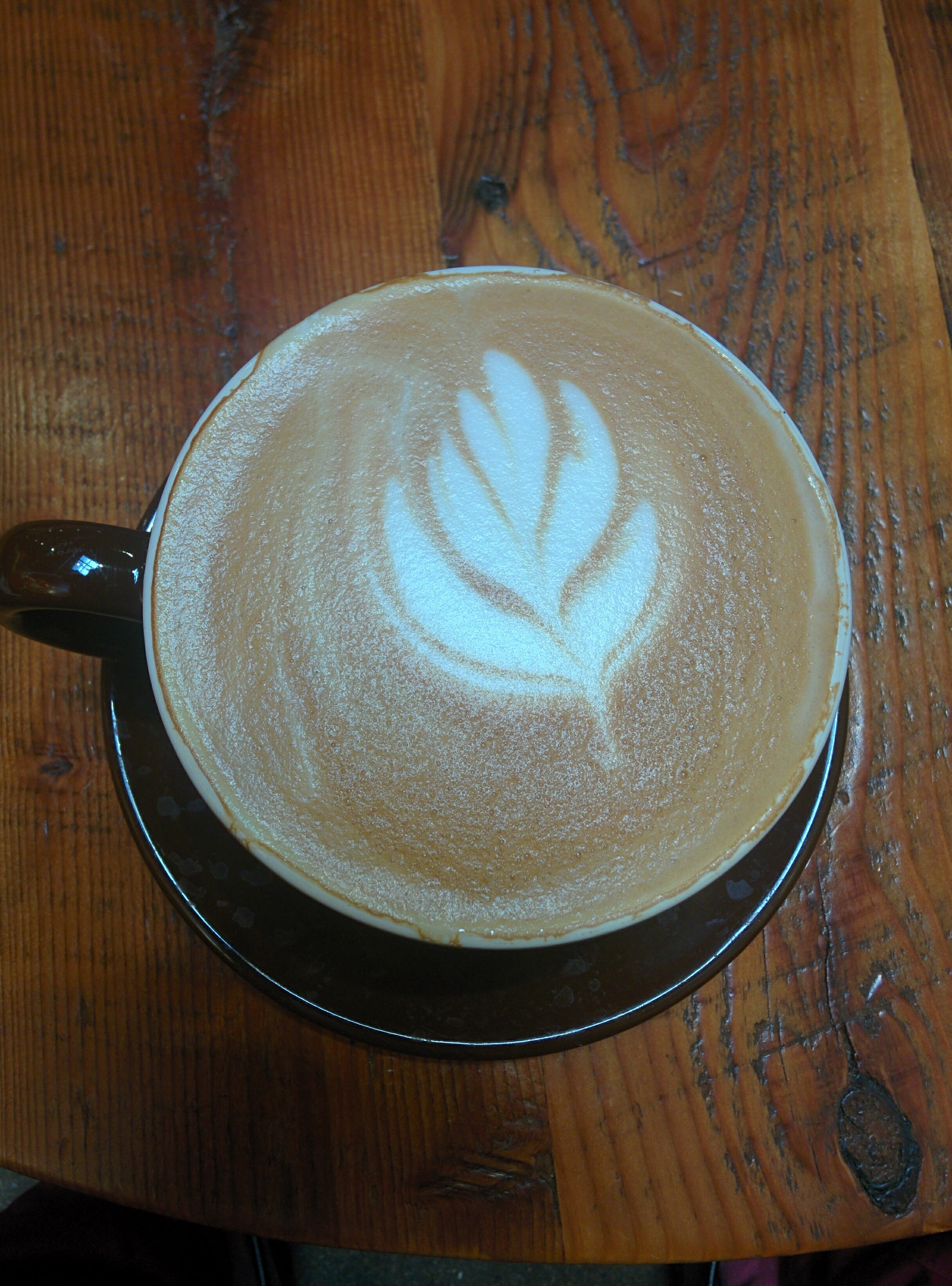 Divine Discourse "To live is so startling it leaves little time for