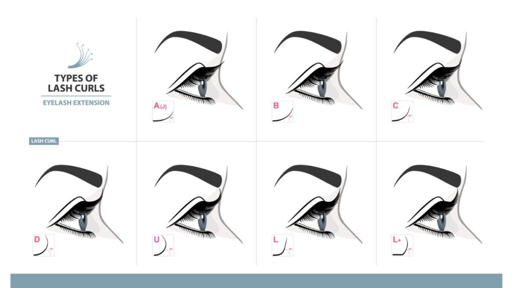 Eyelash Extension Curls Explained [Ultimate Guide]
