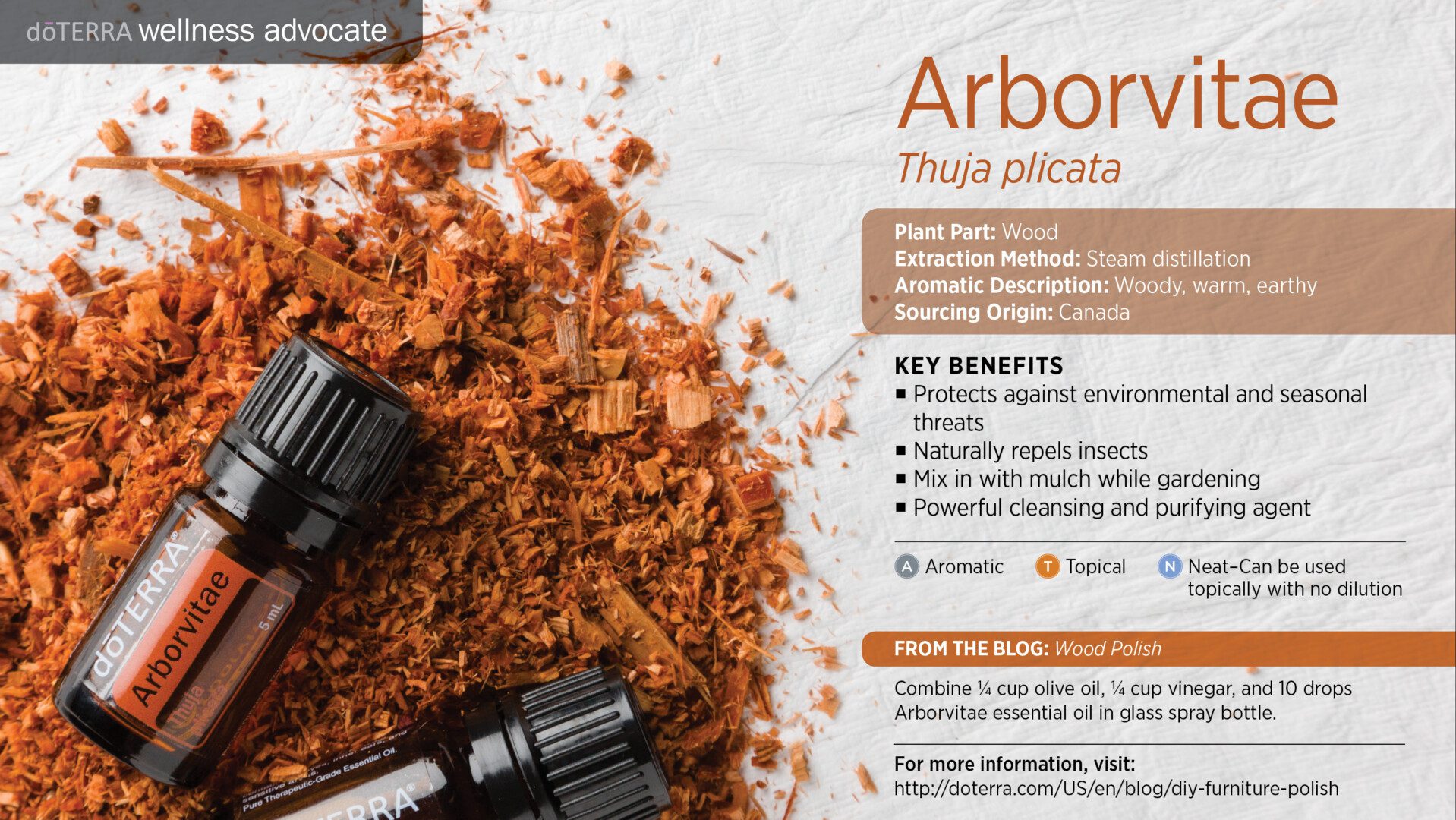 The doTERRA Woody Oils Divine Lotus Healing
