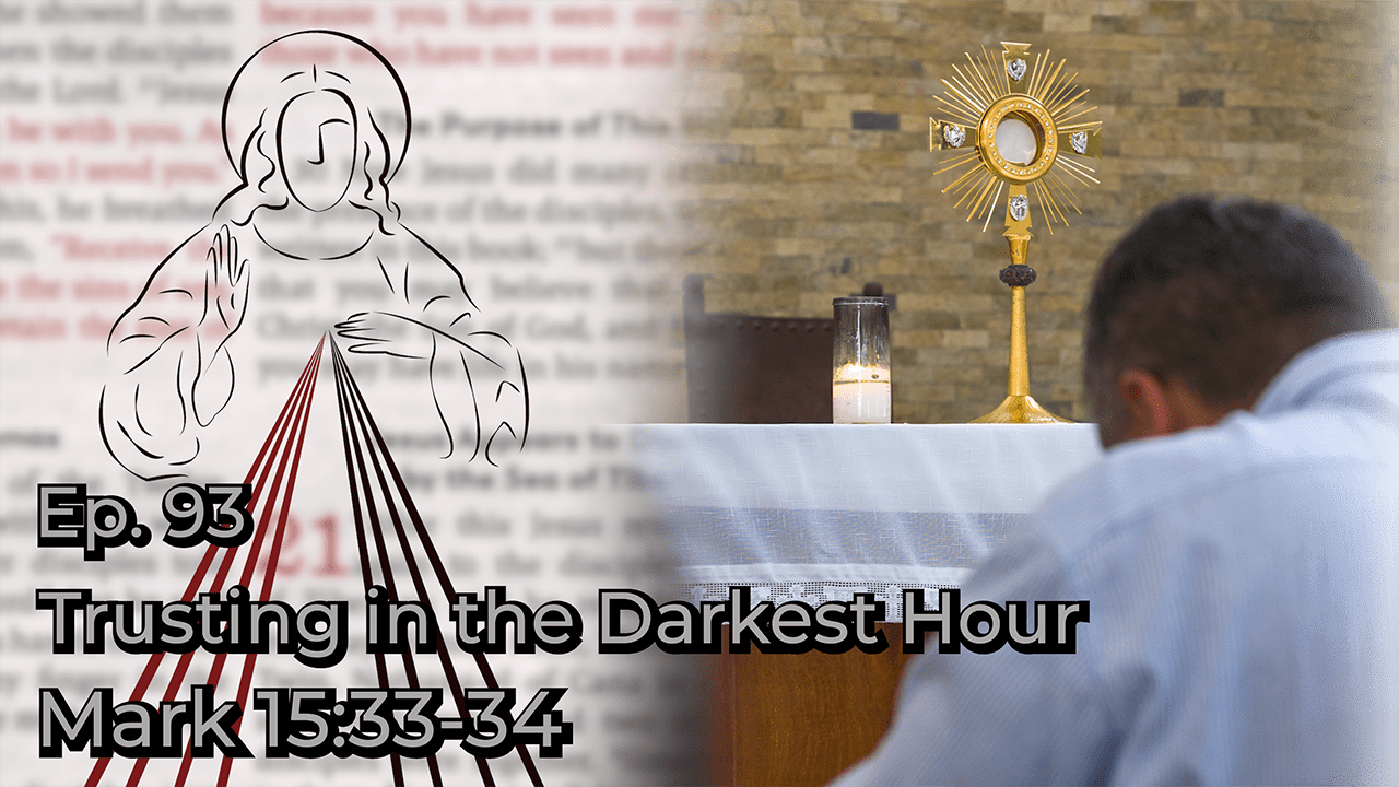 Trusting in the Darkest Hour Divine Mercy Plus
