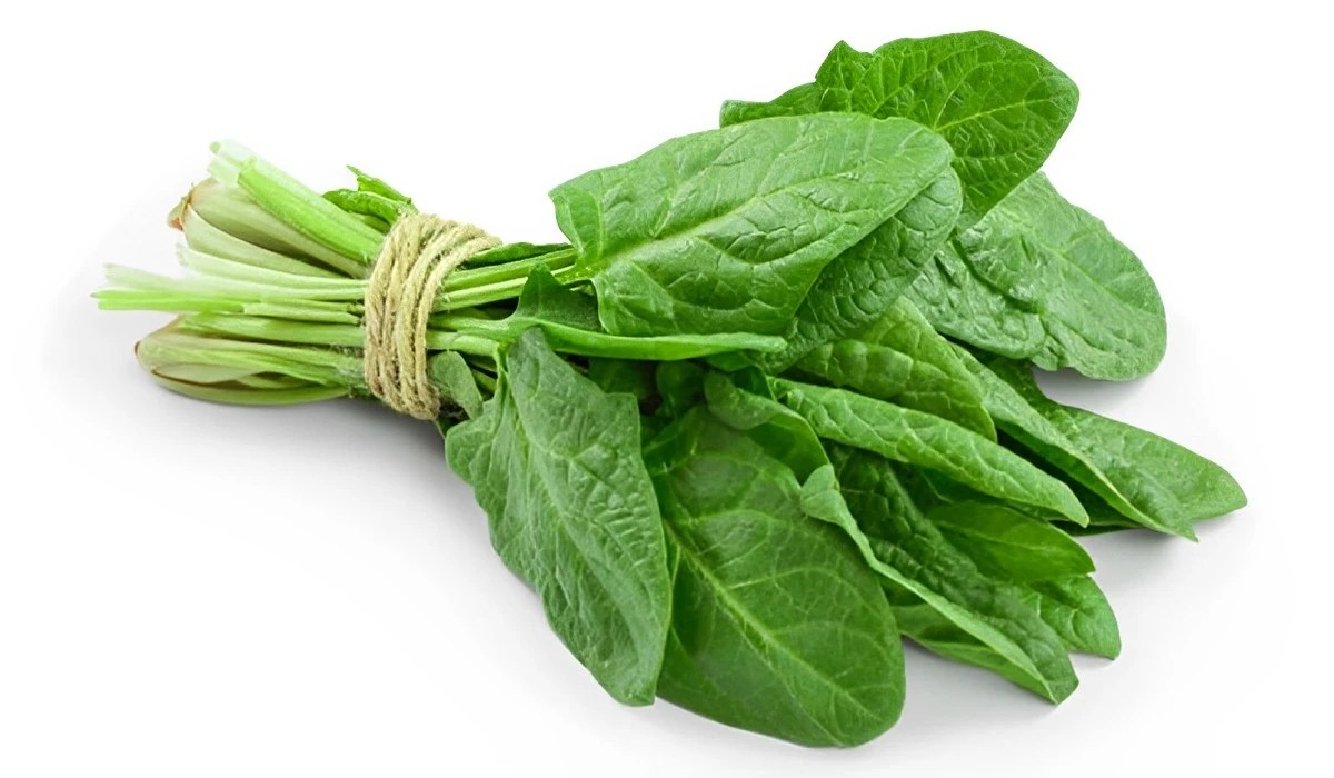 CalciumRich Foods for Pregnancy Must to Have in Your Diet!