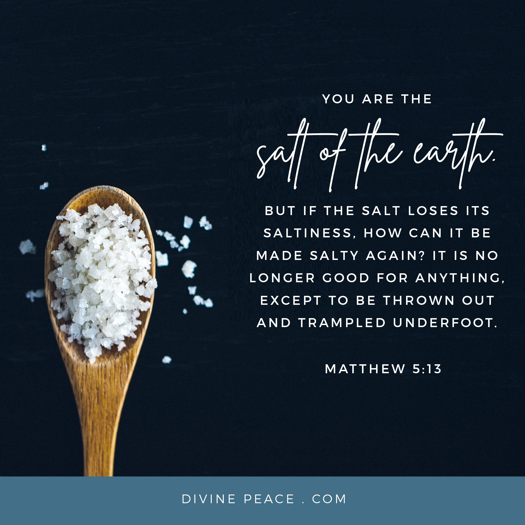 Saltiness Matters! Divine Peace Church
