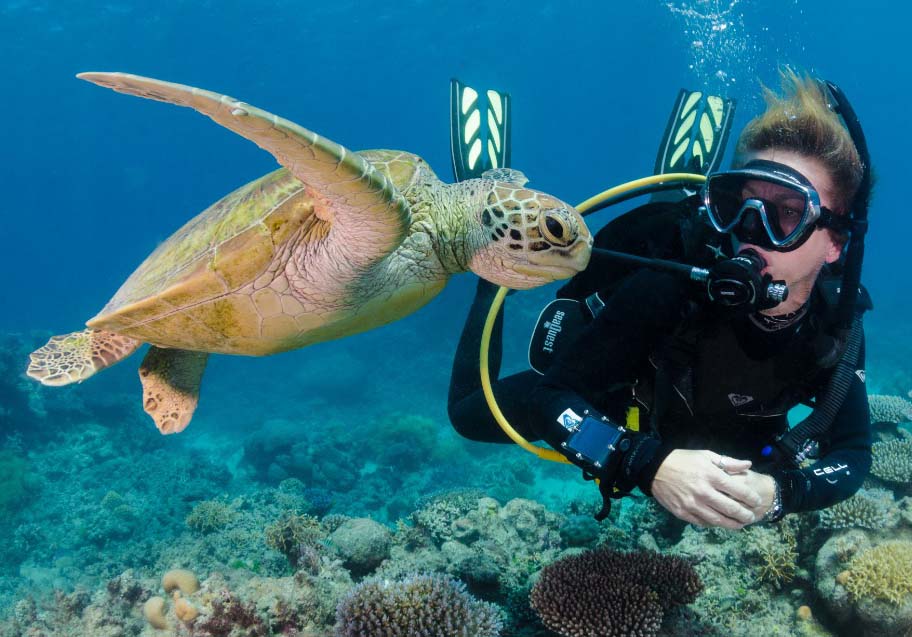 Hurghada Diving Scuba Diving Center PADI Courses