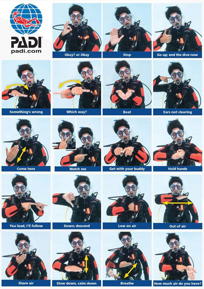 Divers Underwater Language with Gestures Diving in Armenia