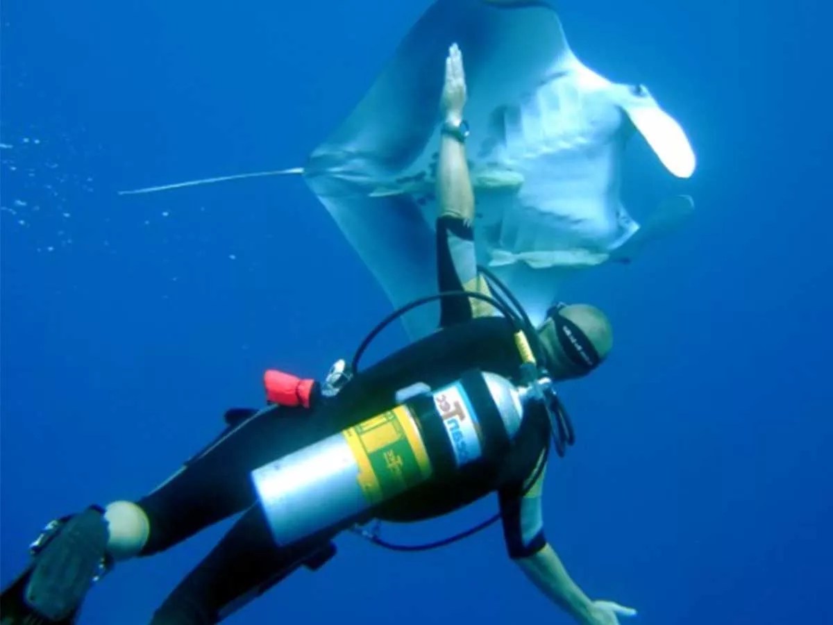 Deep Diving with Enriched Air Nitrox The Benefits and Limitations