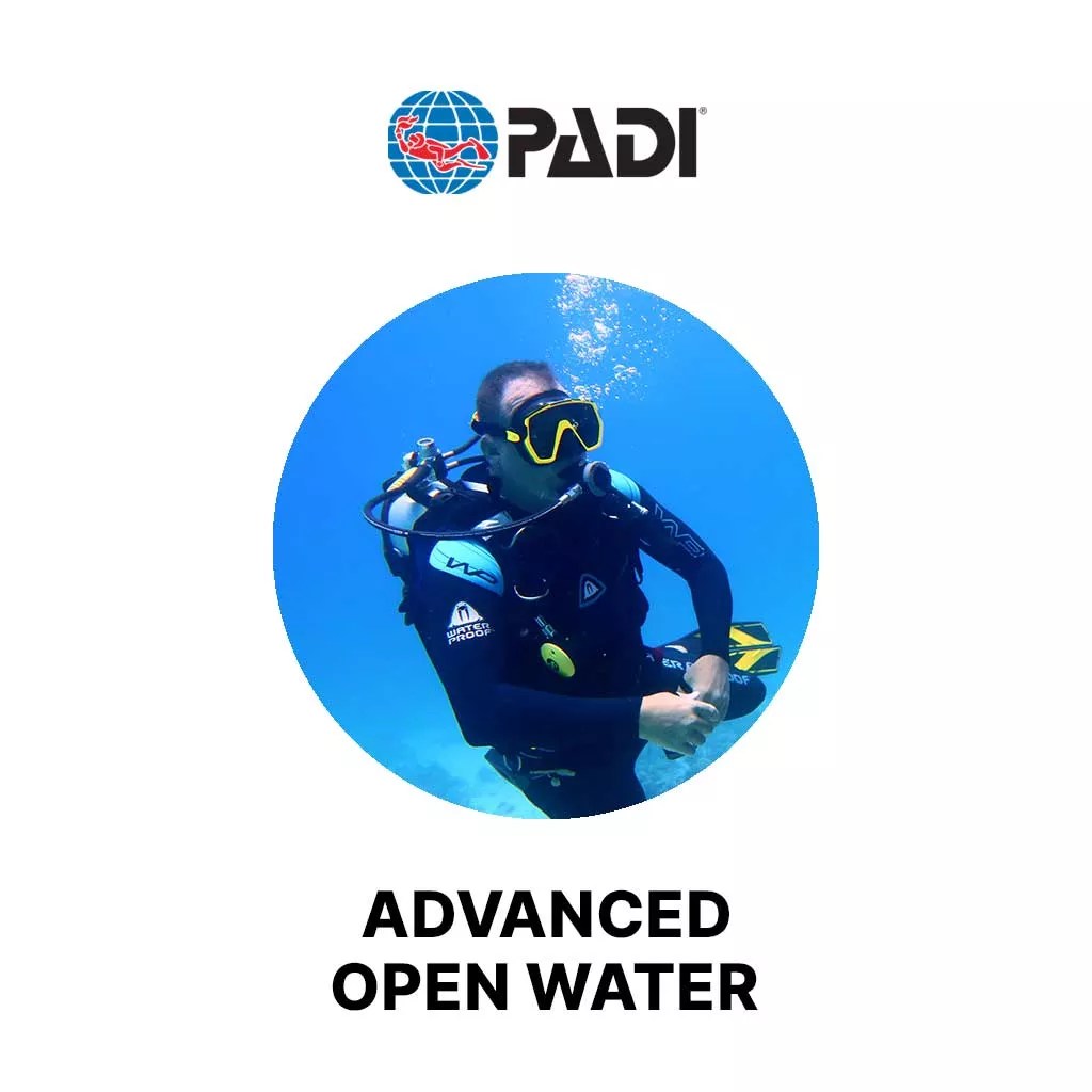 PADI Advanced Open Water Course Diving in Hurghada