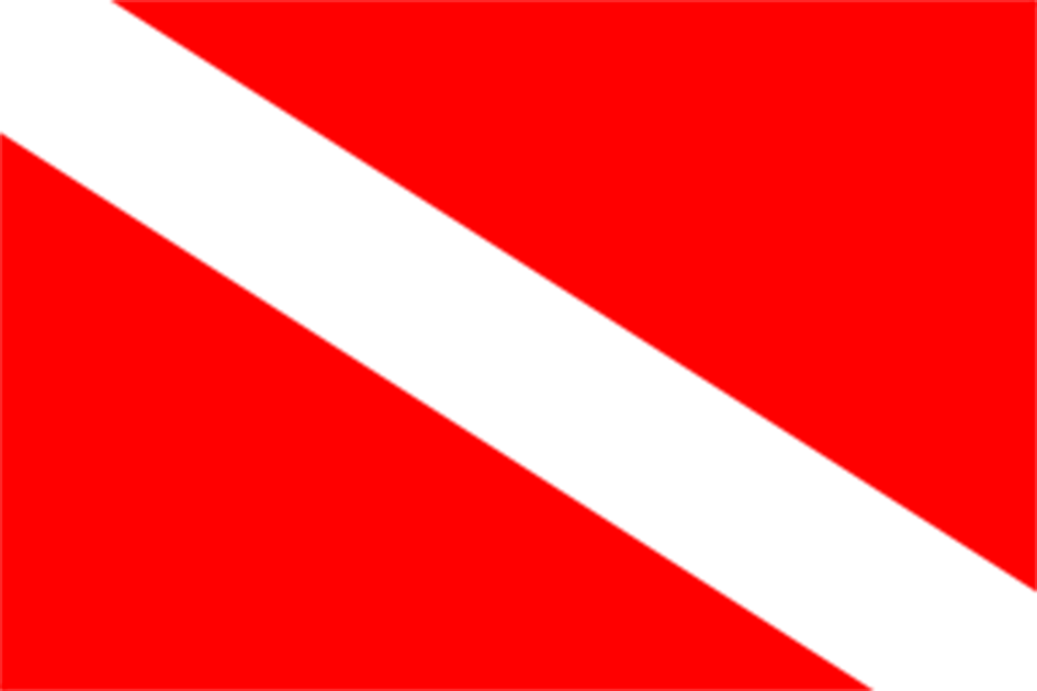 Florida Diver Down Flag Law Change July 2014 SCUBA Diving in Florida