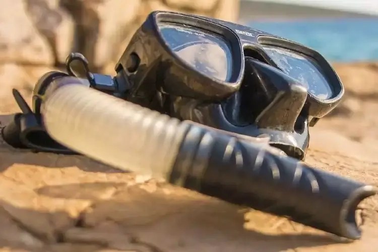 How to Clean Snorkeling Gear the Right Way Diving Lore