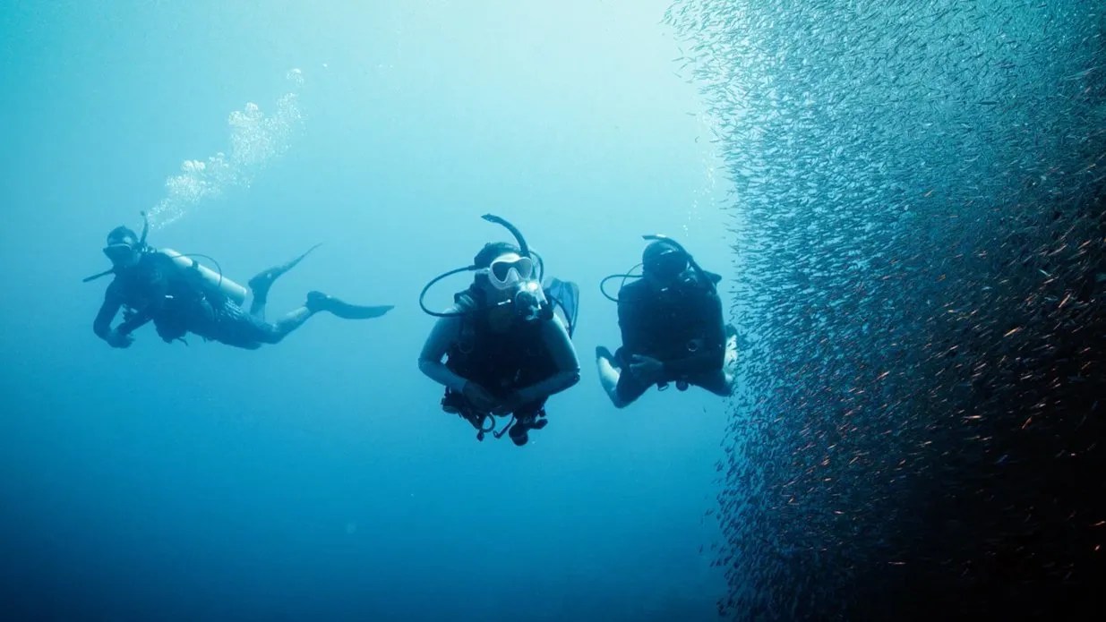 Deep diver Diving Ocean