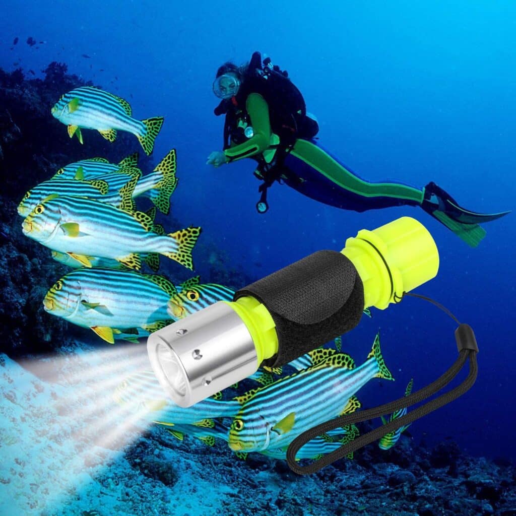 5 Best Underwater Flashlight (Buying Guide)