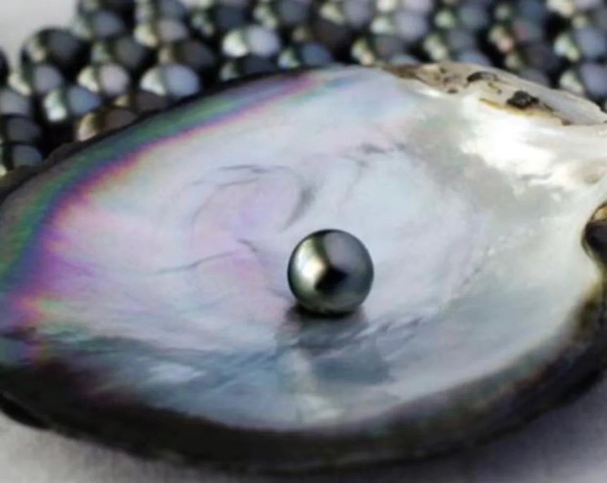 Pearl Healing Properties and More The June Birthstone Divinity Digits