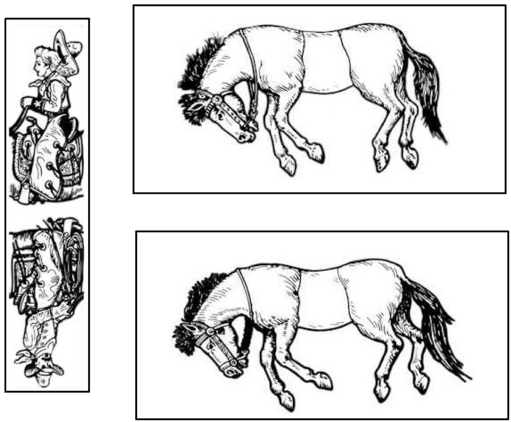 The famous trick donkeys a Sam Loyd puzzle David
