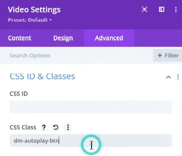How to Make a Video Autoplay and Loop in Divi Divi Theme Designer