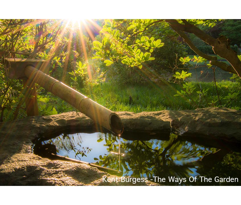 Fine Art Photography Professional Photo Printing Diversified Lab