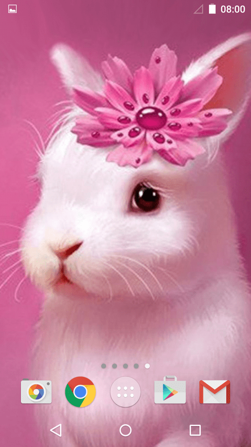 Cute Animals Live Wallpaper スマホ・ライブ壁紙ギャラリー