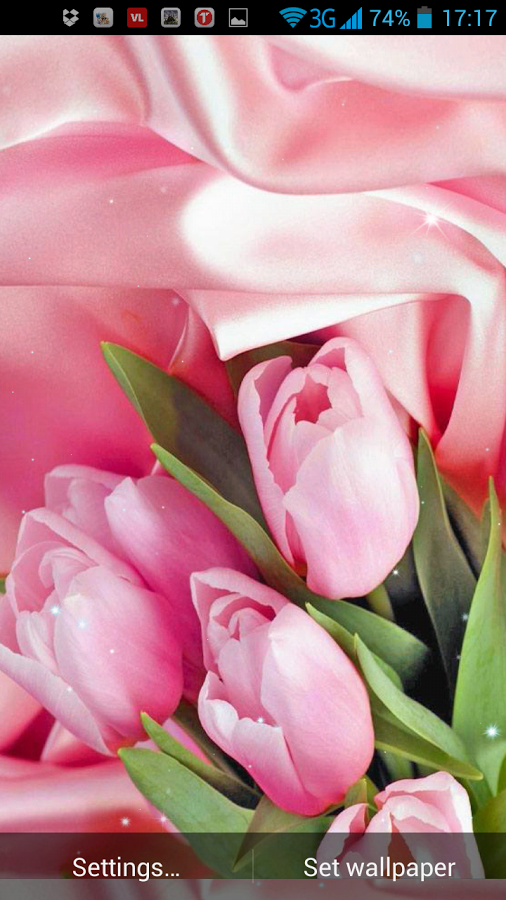 Pink Roses Live Wallpaper スマホ・ライブ壁紙ギャラリー