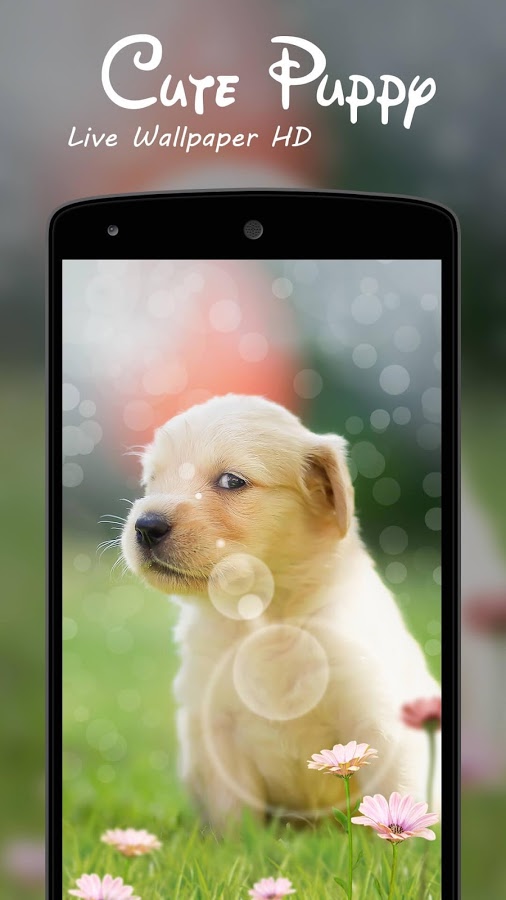 Cute Puppy Live Wallpaper HD スマホ・ライブ壁紙ギャラリー