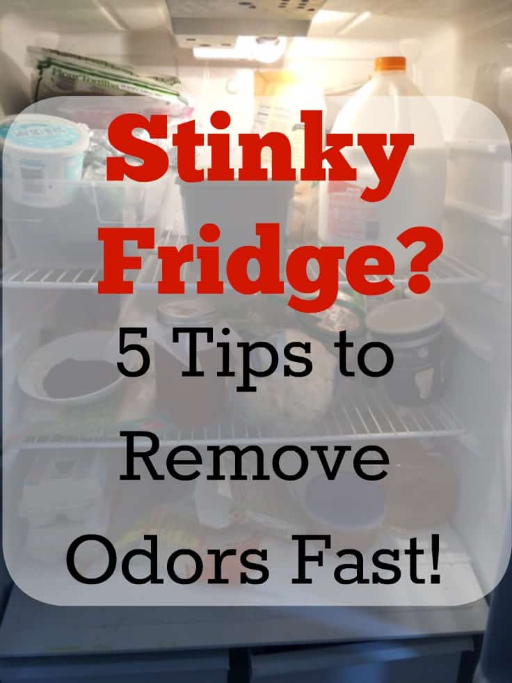 Stinky Fridge? Five Tips To Remove Odors Overnight DIWhy Projects