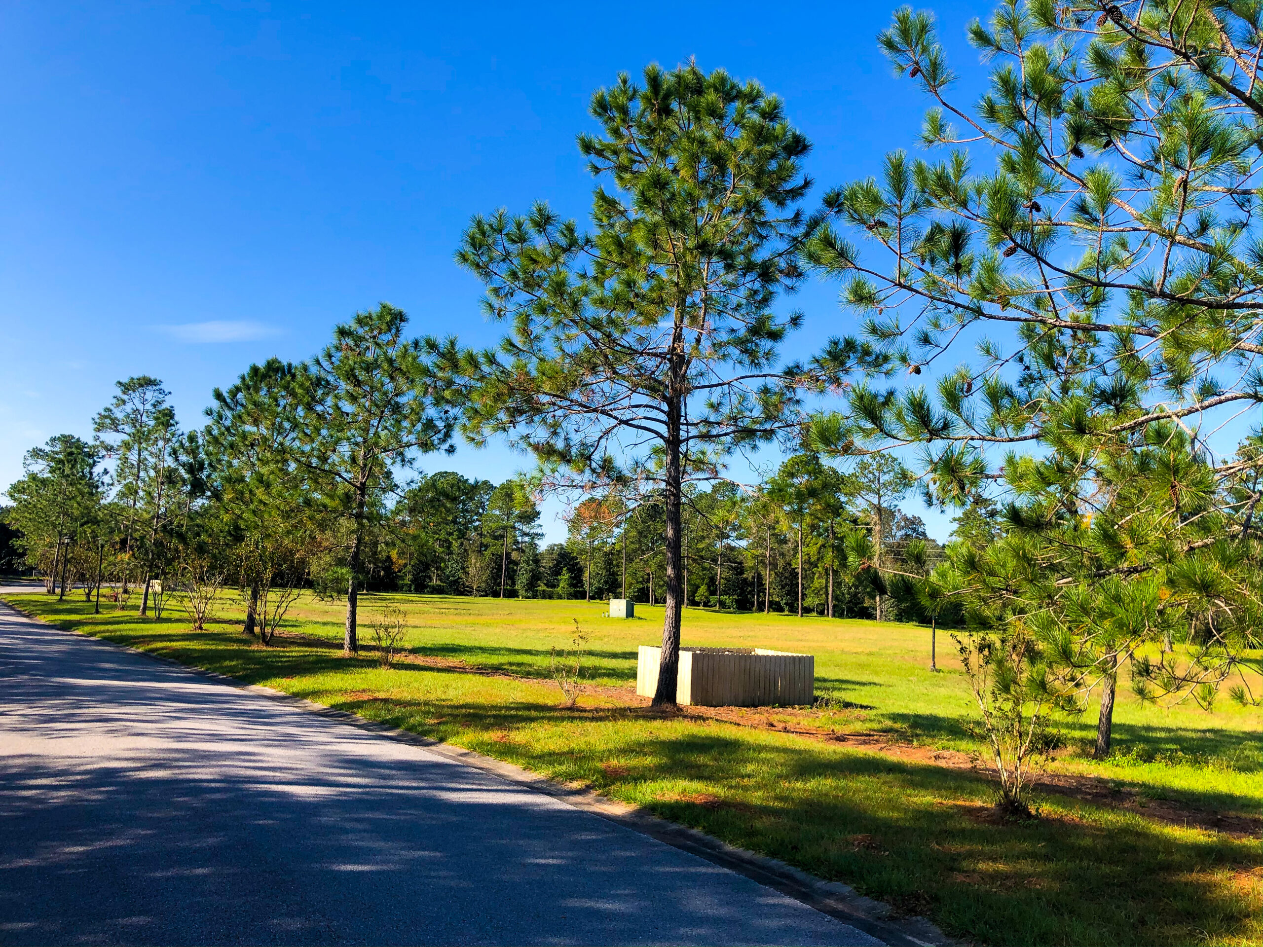 Southern Pines DIX Developments